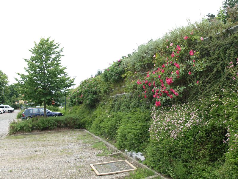 Schallschutzwande