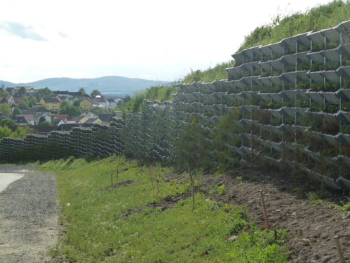 Lärmschutzwand bepflanzt, bepflanzter Lärmschutz, Lärmschutz hochabsorbierend