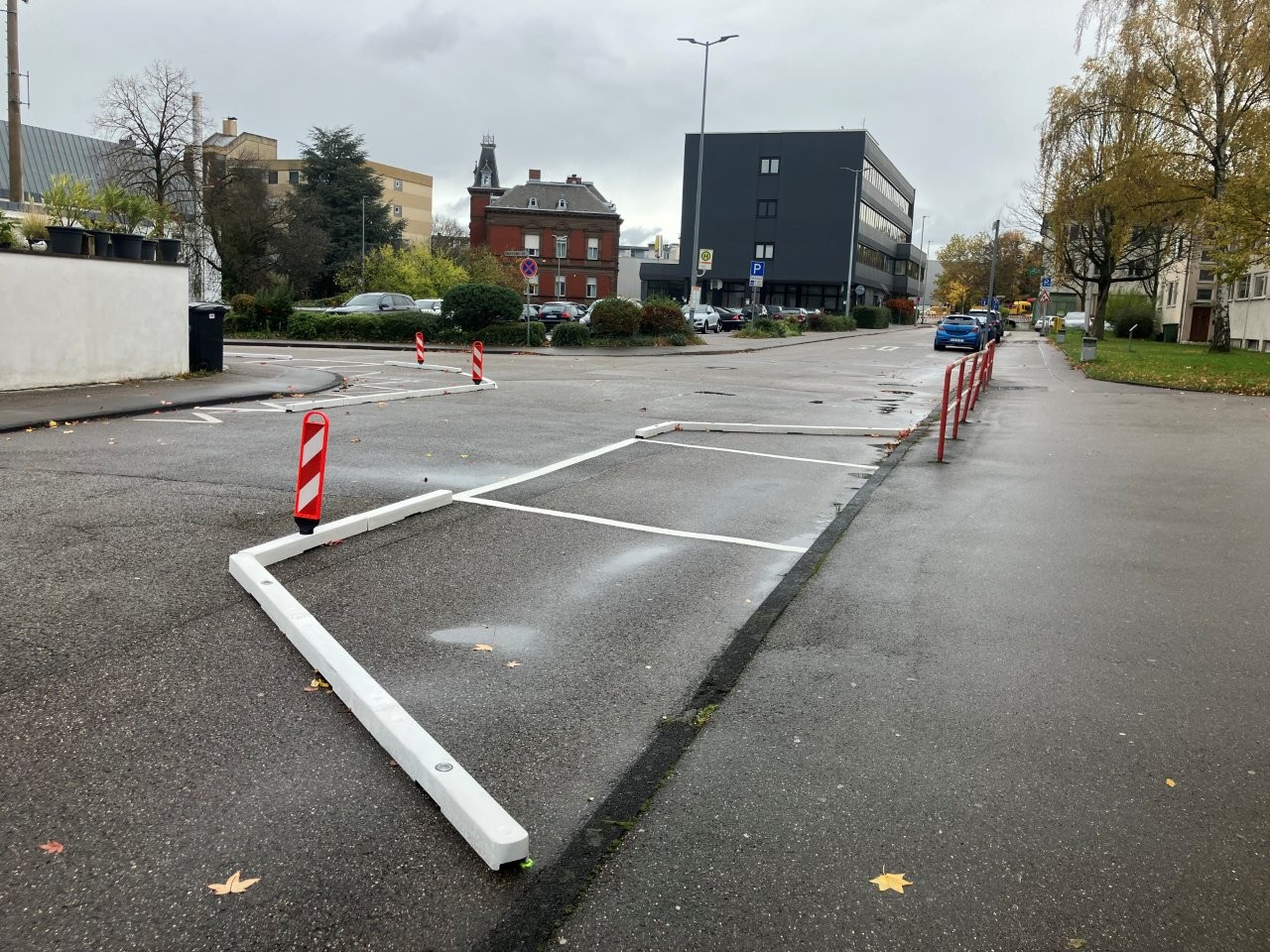 Bike Lane Protector Low