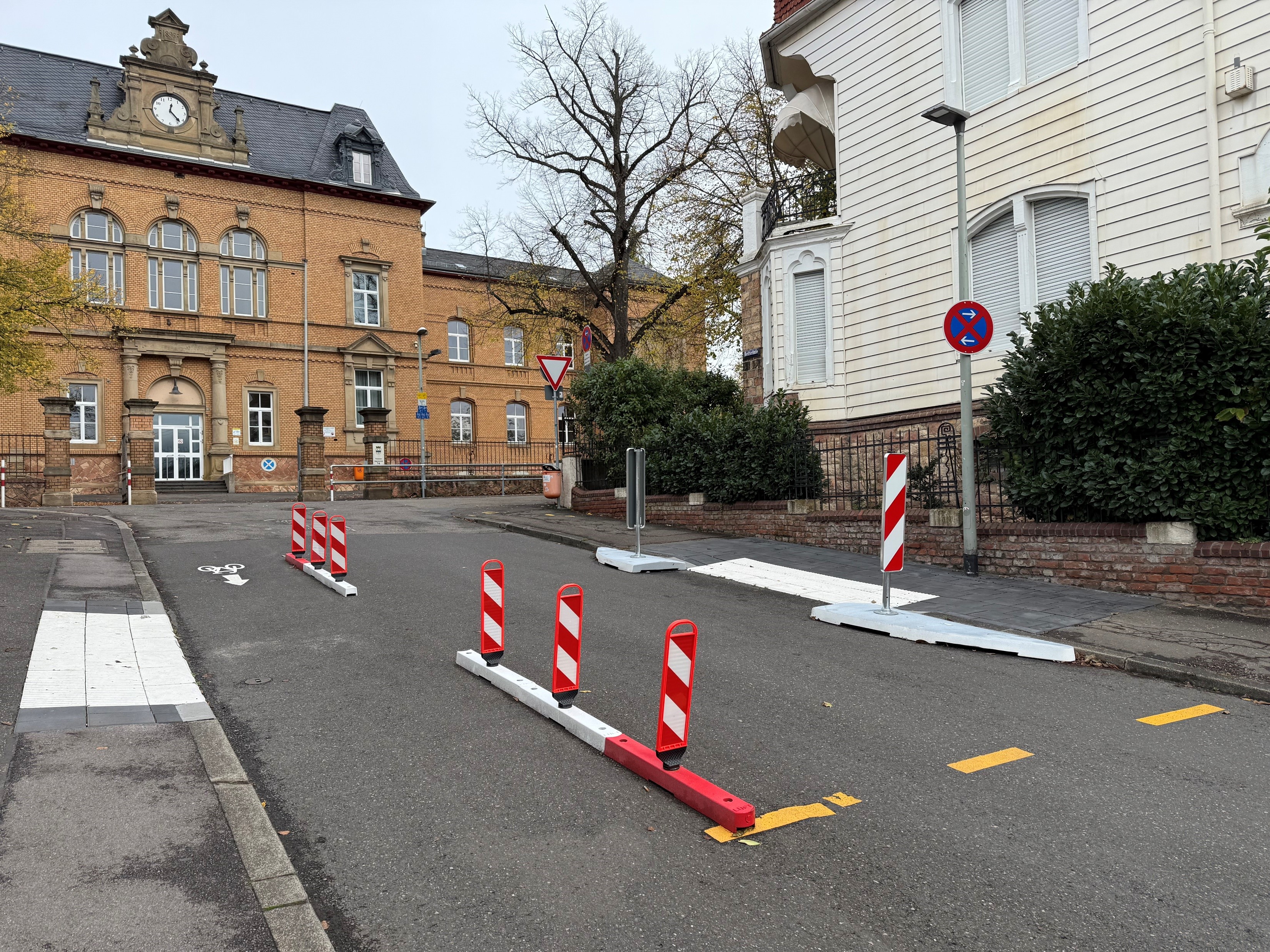 Bike Lane Protector LOW