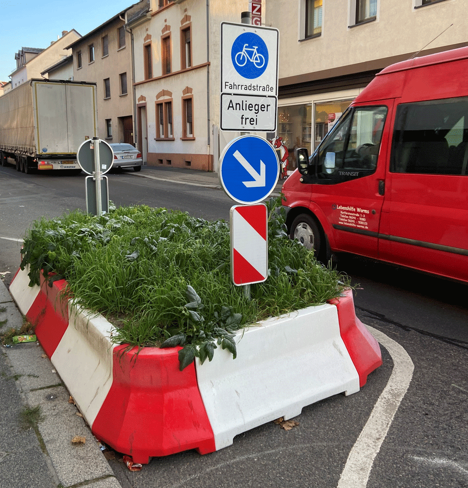 Lüft-Pflanzinsel als seitliche Einengung